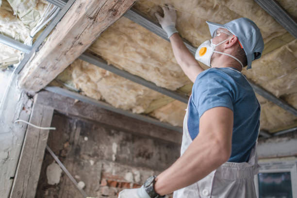 Best DIY Insulation Kits and Guidance in Groveville, NJ